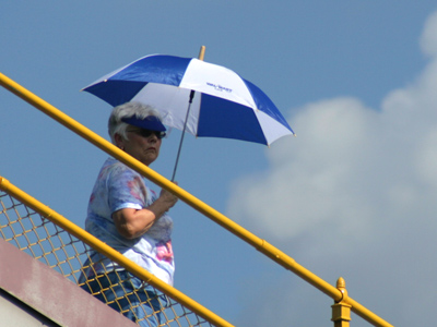 La Promenade, la femme � l`ombrelle by Claude Monet.