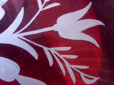 I like to take pictures of flowers.