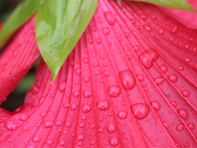 There`s a rainy theme in effect today.