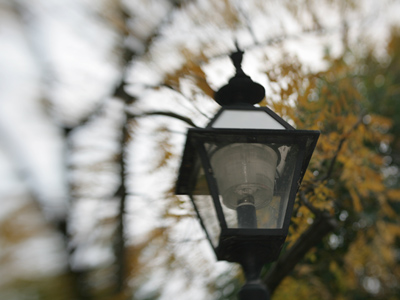 Limiting depth of field means that more of the image will be blurry and only the most important part will be clear.