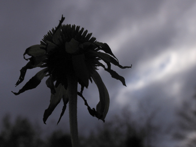 A short while later, it was in a bad mood.