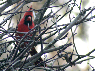 From here on in, just finding enough to eat will be hard.