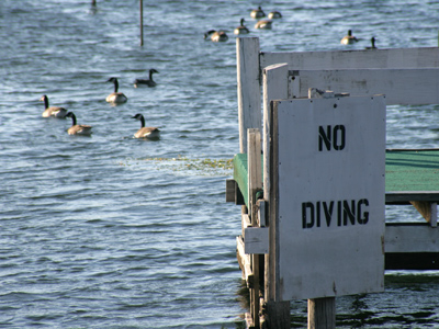 I had no intention of being in Enon today.