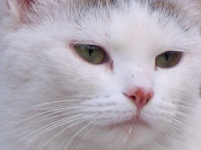 `Nothing to maim or kill today . . . how boring.`