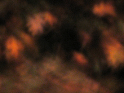 There`s darkness at 7:30pm now.