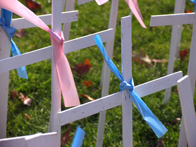 National Celebrate Life week.