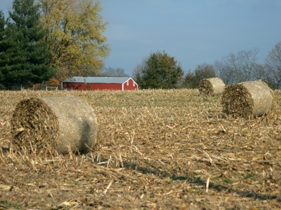 Not bad, I guess, taken with one hand out the car window.