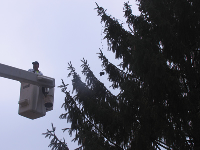 `Daddy, I think the tree is just too big this year.`