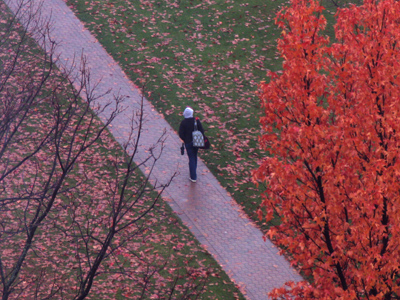 There`s a surprising scarcity of umbrellas on this campus.  And a high number of colds.