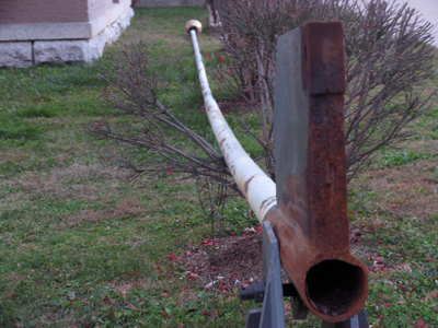 Evidently the flagpole fell and clipped a shrub.  Hopefully there weren`t any Boy Scouts standing there.
