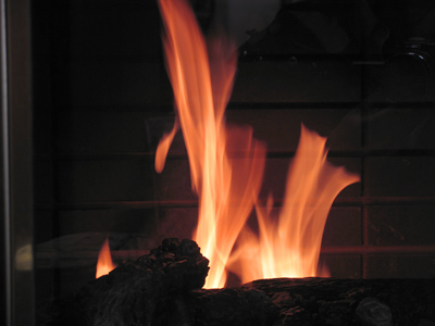 Did you bring the chestnuts?