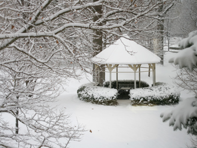 In case you didn`t know, your camera will photograph snow as gray instead of white, unless you tell it not to.