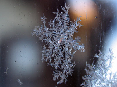 Homage to Wilson `Snowflake` Bentley.