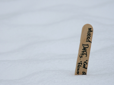 Only 104 days until spring.