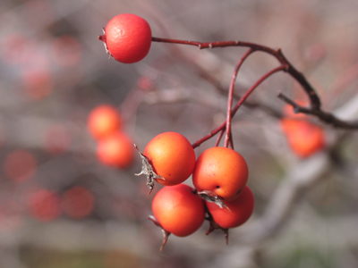 When taking a photo of something, put it into context.  Don`t just show the thing all by itself.