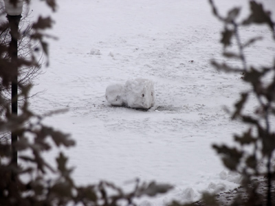 We`ll have lots of fun with Mister Snowman, until the other kiddies knock `im down.