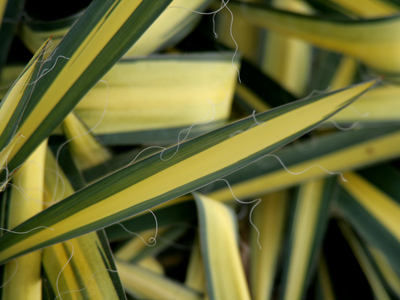 Not everything out there is dead.