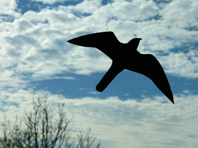 Real trees, real clouds, fake bird.