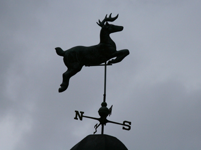 After that year he saved Christmas, Rudolph became really vane.