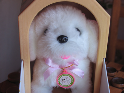 The must-have gift this year.