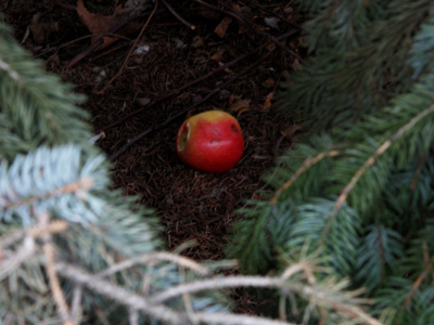 Looks like a trap to me.