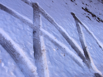 When the weather is this cold, it`s best to keep still.