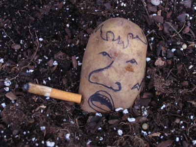 `Let`s set up our vendor table here, and tape our sign over this photograph.  Nobody cares about photographs.`