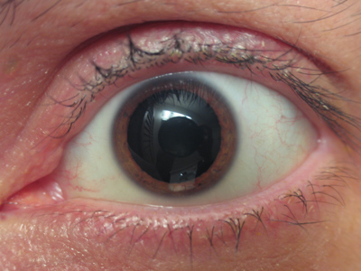 `Catch me if you can!`