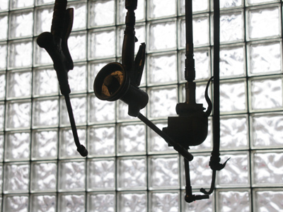 CAUTION:  the previous three captions are warning signs of misanthropy.