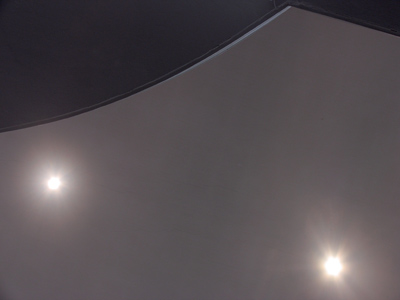 Dog on a cold stone sidewalk.