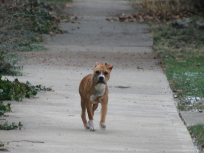 A boy and his sphere.