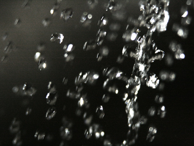 The only movement on the prairie today was because of the wind.