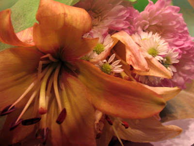 Next year`s thistles.