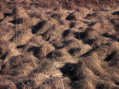 Why I bring my camera with me when I go to lunch.