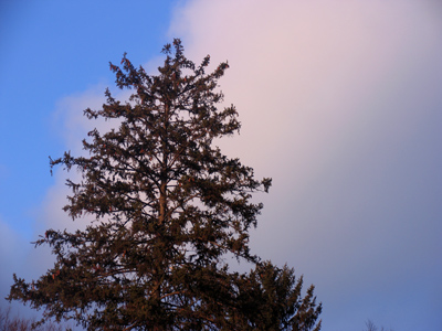 What if my name isn`t Jack?