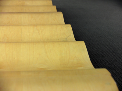 Concealed within the brush, a lion stalks its prey.