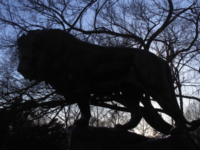 Woman`s best friend.