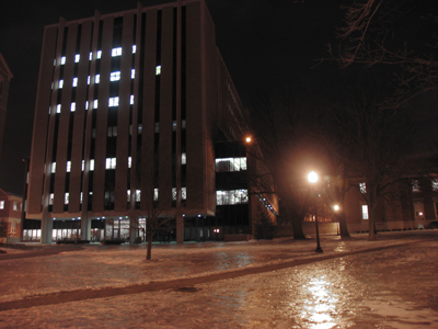 Even the grass is icy.