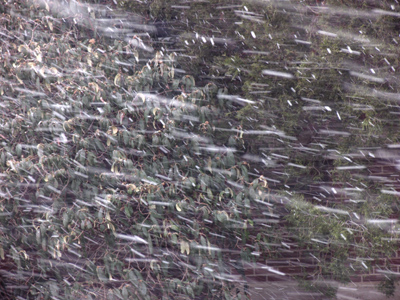 The snow didn`t just fall -- it was thrashed.