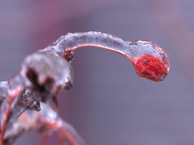 I guess it`s pretty on a berry, but it`s wicked on the road.