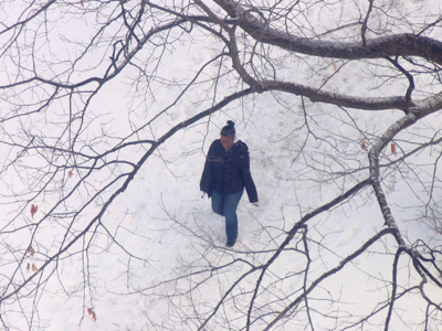 Just in time, before the old snow melted, we got more.