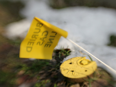 The first thing I shot today was yellow and it gave me an idea for a theme, but that picture didn`t make the daily 5.