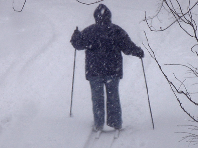 Alone in the white - One passes on a journey - Through the silent flakes.