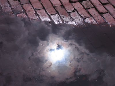 Earth, air, fire and water.