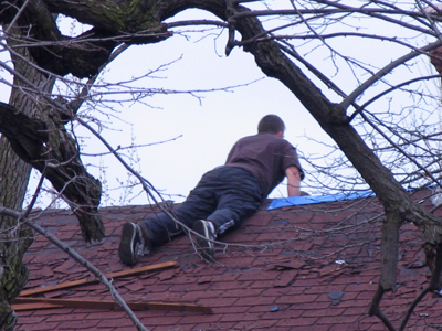 By the end of March, Stanley had begun to regret the odd exercise program he`d started on New Year`s day.