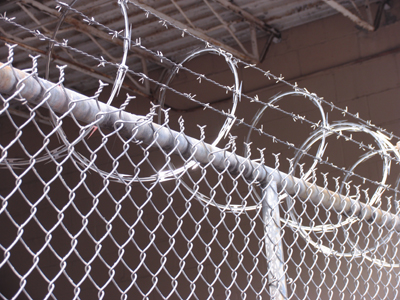 Early to bloom, early to die.