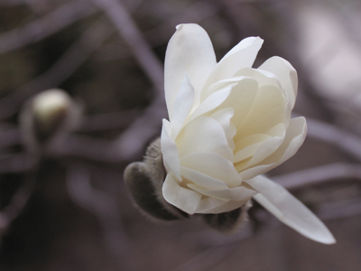 What does everyone else know about the coat room that I don`t?