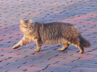 Thou shalt not steal.