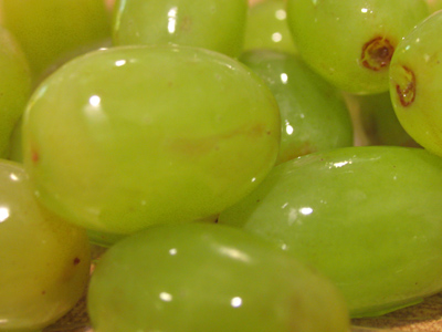 With bright flags in the air . . . 