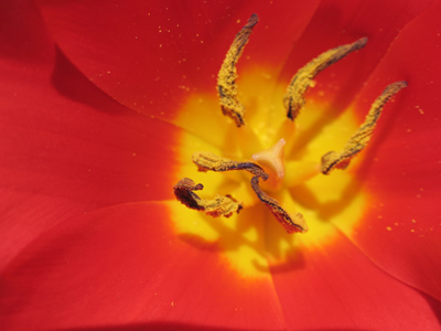 And loud songs in my ear . . . 